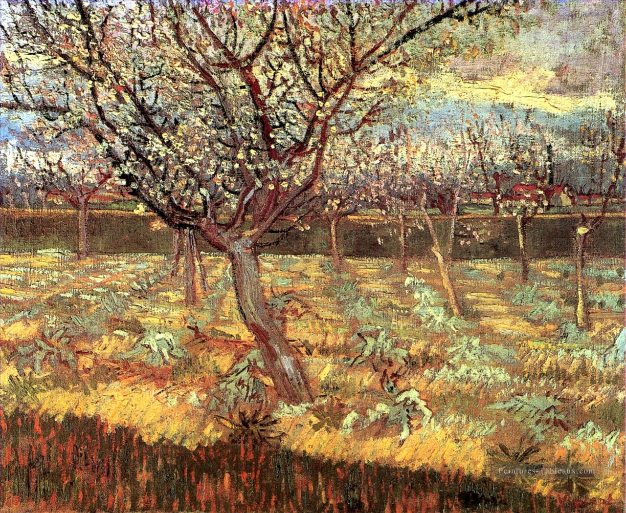Abricotiers en fleurs Vincent van Gogh Peintures à l'huile